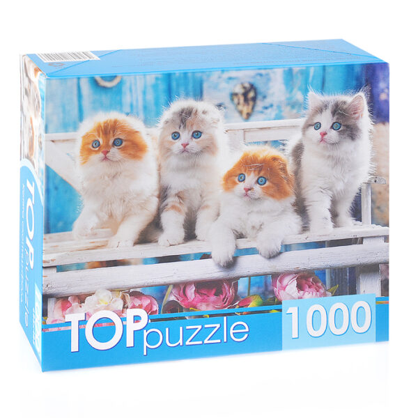 Пазлы 1000 TOPpuzzle "Котята скоттиш фолд"