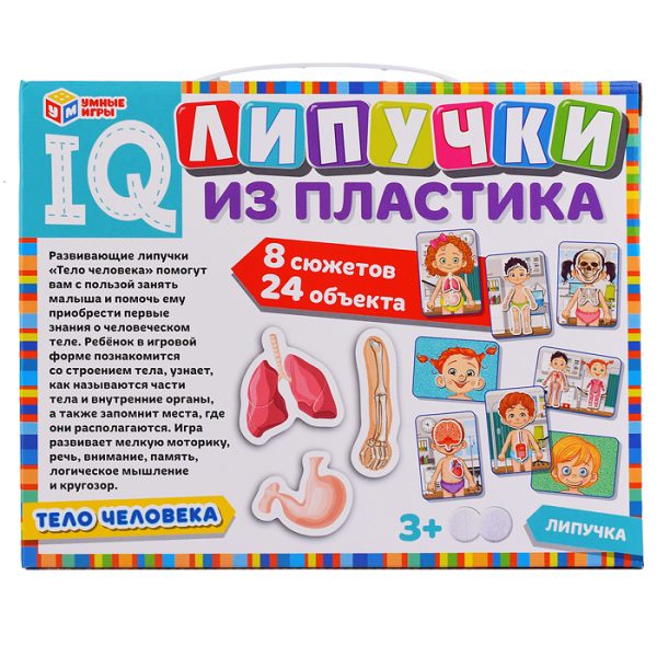 Тело человека. IQ-липучки из пластика. 3