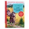 Некрасов Н. А. Кому на Руси жить хорошо  (Библиотека школьника)