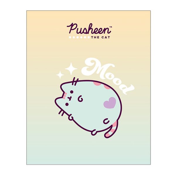 Тетрадь 48л А5 "Pusheen" 3