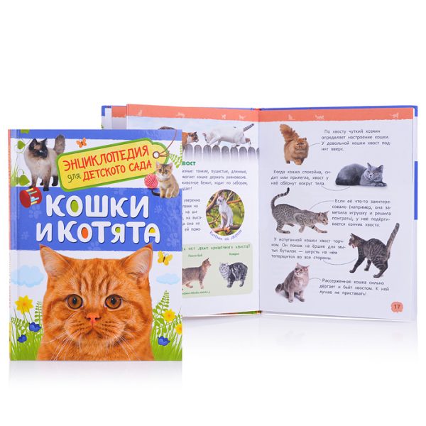 Кошки и котята (Энциклопедия для детского сада)