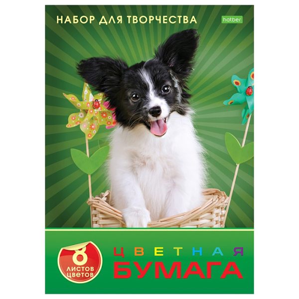 Бумага цветная 8л 8 цв. "ECO" А4ф обложка офсет.бумага на скобе "Любимец"