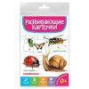 Развивающие карточки. Насекомые 4