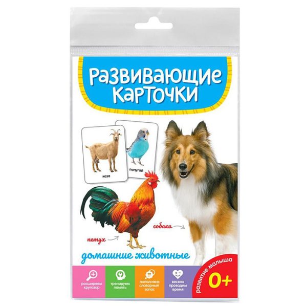 Развивающие карточки. Домашние животные 4