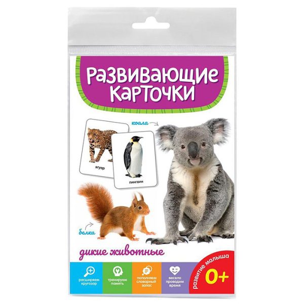 Развивающие карточки. Дикие животные 4